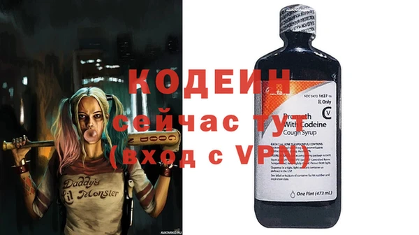 прущие грибы Ельня