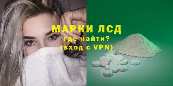 прущие грибы Елизово