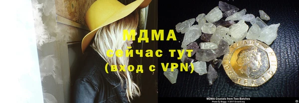 прущие грибы Елизово