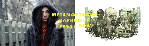 прущие грибы Елизово