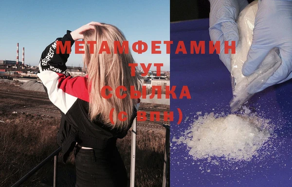 прущие грибы Елизово