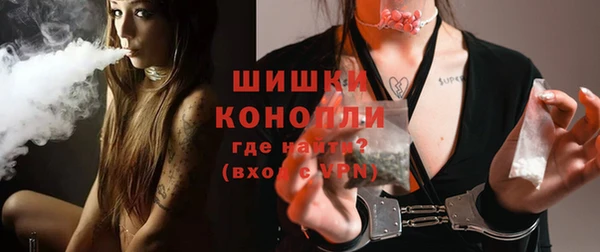 прущие грибы Ельня