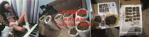 прущие грибы Ельня