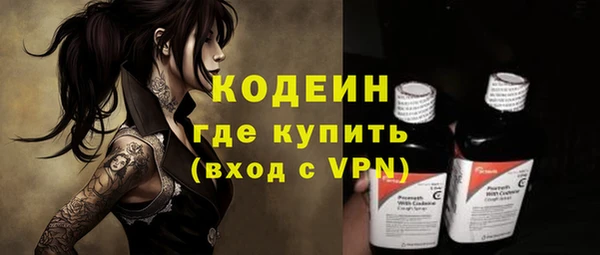 прущие грибы Ельня