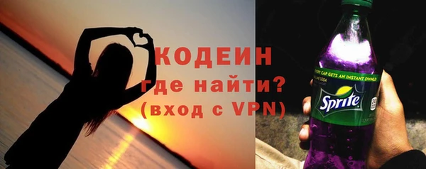 прущие грибы Ельня