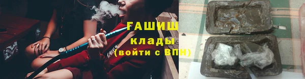 прущие грибы Ельня