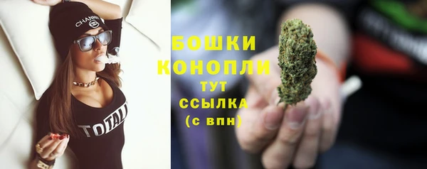 прущие грибы Ельня