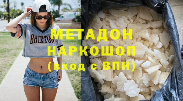 прущие грибы Елизово