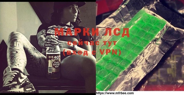 прущие грибы Елизово
