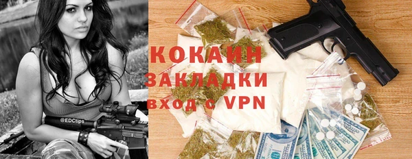 прущие грибы Елизово