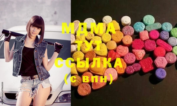 прущие грибы Ельня