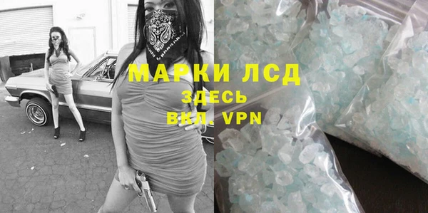 прущие грибы Елизово