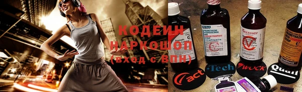 прущие грибы Ельня