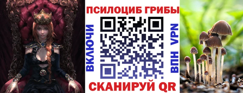 kraken рабочий сайт  Соль-Илецк  Галлюциногенные грибы Cubensis  сколько стоит 