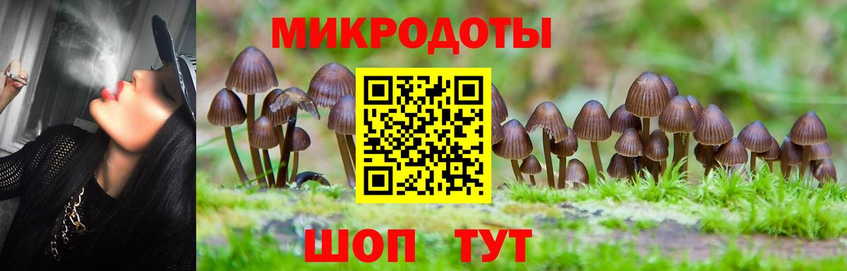 Псилоцибиновые грибы мицелий Соль-Илецк