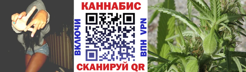 Шишки марихуана марихуана хочу Соль-Илецк
